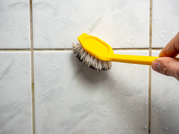 Best Localized Mold Remediation (e.g., coastal areas, humid climates) in Bethany, IL